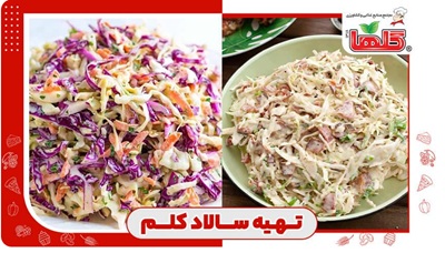 طرز تهیه سالاد کلم رستورانی (با کلم بنفش و کلم سفید)